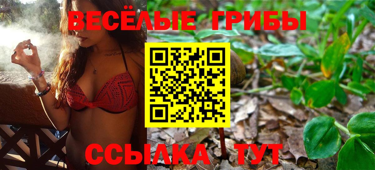 Псилоцибиновые грибы Psilocybe Вятские Поляны
